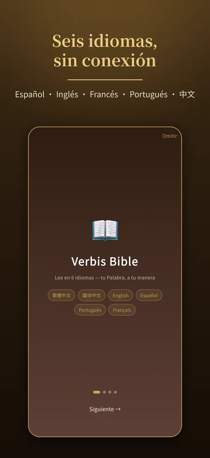 Seis idiomas a la vez｜Verbis Bible